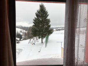 Hotel Na Trojce v zimě