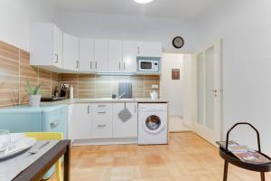 Kuchyňa alebo kuchynka v ubytovaní Apartment Alex