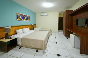 a hotel room with a bed and a flat screen tv at Aruanã Pousada in Jacumã +46 photos