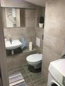 a bathroom with a toilet and a sink at Apartament Bankowa in Jelenia Góra +11 photos