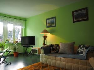 Televízia a/alebo spoločenská miestnosť v ubytovaní Apartament Zielone Studio