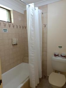 a bathroom with a toilet and a shower with a shower curtain at Molly Morgan Motor Inn in Maitland