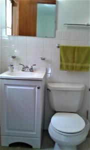 een badkamer met een wit toilet en een wastafel bij Black Bear Lodge in Prattsville