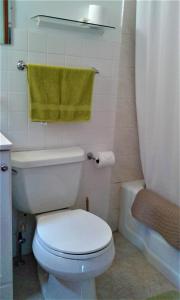 a bathroom with a white toilet and a green towel at Black Bear Lodge in Prattsville