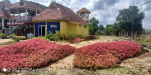 Iz Village في كامبونغ كوالا بيسوت: أمامه منزل به نباتات ملونة