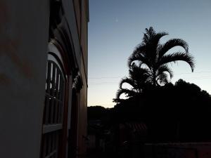 a palm tree sitting next to a building at Casarão do DU in Campinas