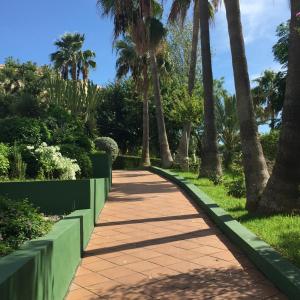 Zahrada ubytování Hotel Club Cala Romani