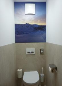 ein Bad mit einem WC und einem Wandgemälde in der Unterkunft Aparthotel Bernhof in Obertauern