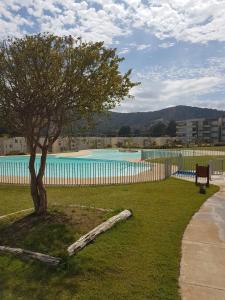 un albero in un cortile accanto a una recinzione con una piscina di Departamento en Lomas de Papudo II a Papudo
