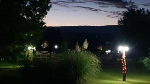 Un palo luminoso con le luci di Natale in un giardino di notte di Cabañas Landhaus a Villa General Belgrano