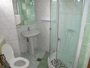a bathroom with a shower and a toilet and a sink at Hotel Silva in Vatra Dornei