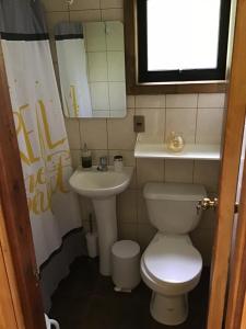 a small bathroom with a toilet and a sink at Cabañas Jardin Secreto in Licán Ray