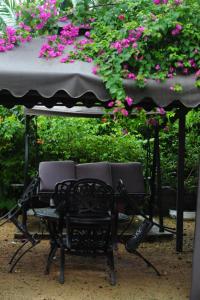 O grădină în afara Shell Villa apartel resort