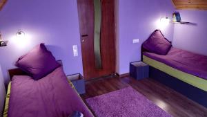 two beds in a room with purple walls at Эдельвейс in Tsaghkadzor