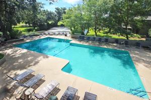 an overhead view of a swimming pool with chairs and trees at St Andrews Common in Hilton Head Island