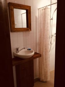 een badkamer met een wastafel en een douche met een spiegel bij Візерунок in Dilyatyn