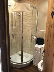 a bathroom with a glass shower with a toilet at Maison de Bois Royale in Royère-de-Vassivière +29 photos
