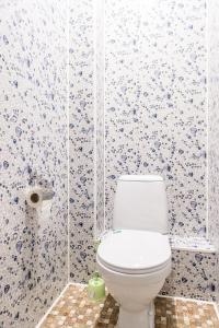 スィクティフカルにあるKosmos Apartmentsの白と青の壁紙を使用したバスルーム(白いトイレ付)