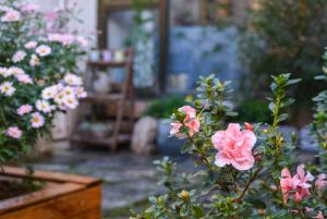 Dali Buxianshan Boutique Guesthouse-in Dali ancient city,near three pag odas and erhai lake,provide tour guide service and local experience外面的花园