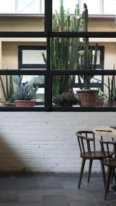 a window with a table and chairs and cactus at c-hotels Diplomat in Florence