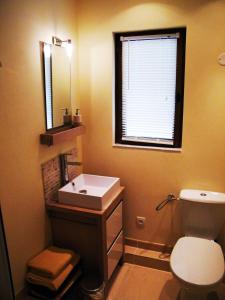 uma casa de banho com um lavatório, um WC e um espelho. em The Lodge em Les Dognons
