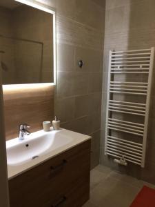 une salle de bain avec un lavabo et un miroir dans l'établissement Wijndomein Zwaeneberg, à Fourons 20 autres photos