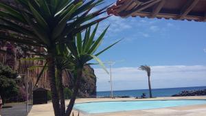 a palm tree next to a swimming pool next to the ocean at Casa Shalom in Faial
