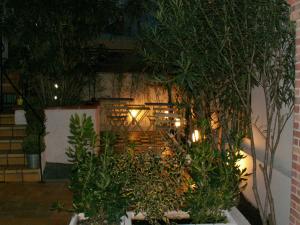 Zahrada ubytování Hôtel Alizé