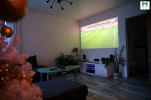 a living room with a tv with a soccer game projected on the wall at Reydarfjordur Apartment in Reyðarfjörður