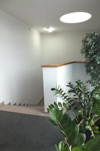 Fotografia z galérie ubytovania Motel Subaru vo Varšave