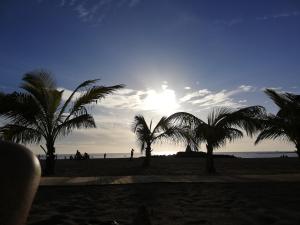 a group of palm trees on a beach with the sun at Apartamentos EOS in Buzanada