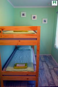 two bunk beds in a room with blue walls at Reydarfjordur Apartment in Reyðarfjörður
