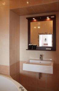 Koupelna v ubytování Hotel Panský dům