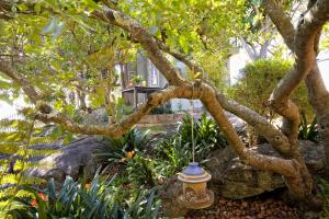 Billede fra billedgalleriet på Loerie's Call Guesthouse i Nelspruit