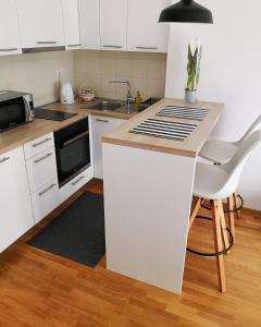 Kuchyň nebo kuchyňský kout v ubytování Apartman Bilja 3*