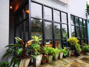 Zahrada ubytování Siri Guesthouse @ Surat Thani