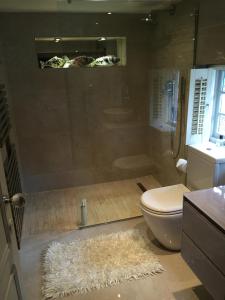 a bathroom with a shower and a toilet and a rug at Castle Mill Bed and Breakfast in Dorking