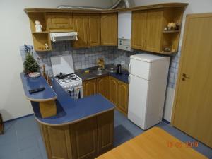 リヴィウにあるАпартаменти у Львовіのキッチン(木製キャビネット、白い冷蔵庫付)