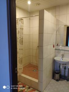 a bathroom with a shower and a sink at Maza Kalna 27 in Riga +13 photos