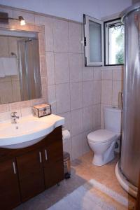 a bathroom with a toilet and a sink and a shower at Irida Cottage in Vlachopoulátika