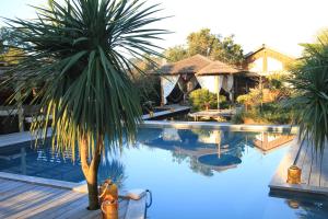 uma piscina com uma palmeira ao lado de uma casa em la Varangue em Lacanau