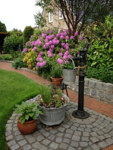 a garden with potted plants and flowers in buckets at Ferienwohnung Lortz in Cuxhaven