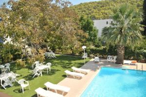 einen Hinterhof mit einem Pool, Stühlen und einer Palme in der Unterkunft Kaikas Studios & Apartments in Poros