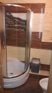 Koupelna v ubytování легенда карпат + 40 fotografií