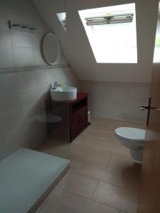 a bathroom with a toilet and a sink and a skylight at Gästehaus Lavendel an der Mosel in Senheim