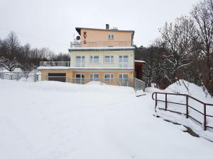 a house on a hill covered in snow at Willa RYŚ in Krynica Zdrój