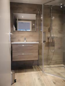 een badkamer met een wastafel en een douche bij Gastenverblijf 't Oelengoor in Sinderen