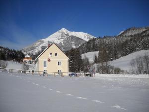 a house in the snow in front of a mountain at Ferienwohnung Bluemelhube Wohnung Anja in Vordernberg