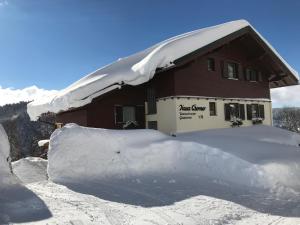 Haus Werner v zime