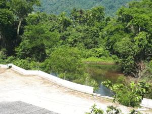a bridge over a river next to a forest at Camping Monte Hermom in Ubatuba